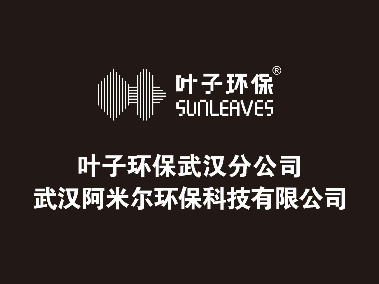 武漢專業(yè)除* *檢測(cè)*治理