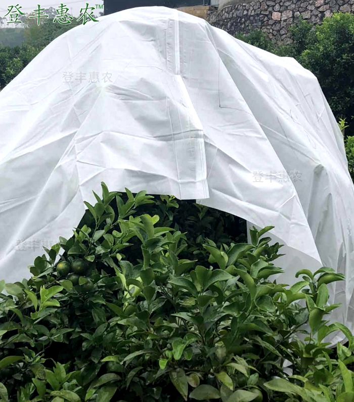 沃柑防寒布，柑桔防寒布廠家直銷