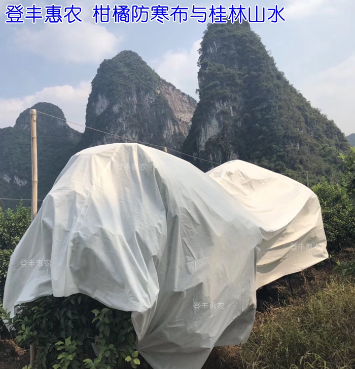 沃柑防寒布，柑桔防寒布廠家直銷