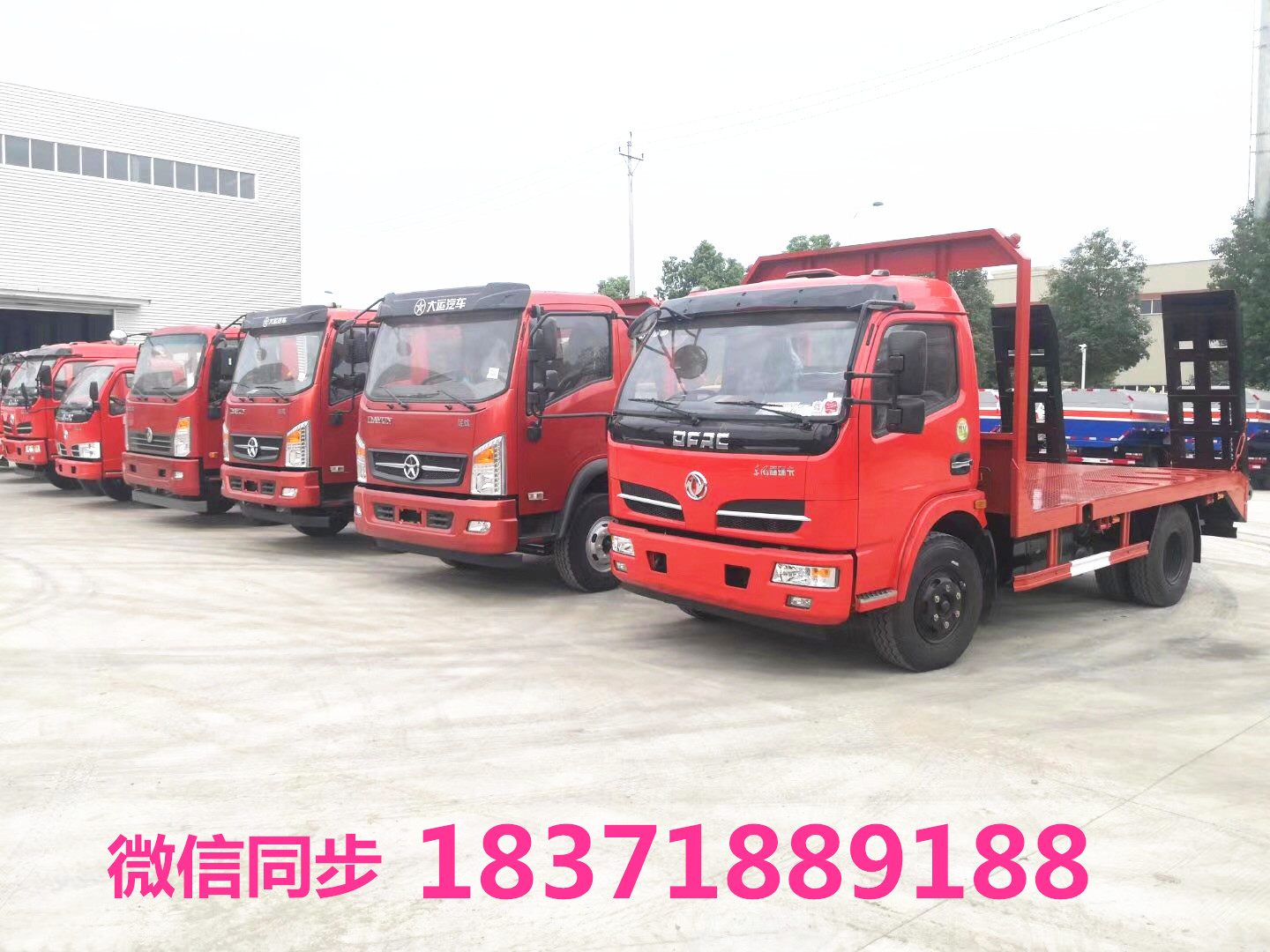 大運(yùn)牌藍(lán) 牌平板運(yùn)輸車廠家直銷