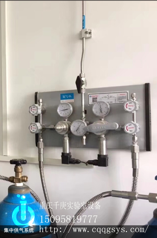 重慶實驗室供氣系統(tǒng)/集中供氣 重慶實驗室供氣系統(tǒng)/集中供氣系統(tǒng)