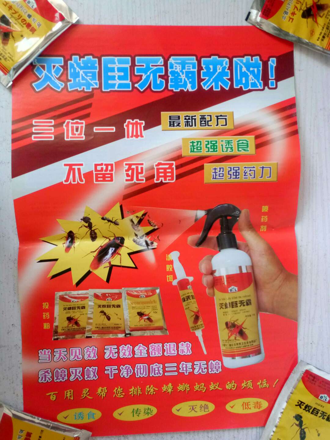 吉林百用靈滅蟑靈廠家直銷吉林供應(yīng)商報(bào)價(jià)銷售 百用靈蟑螂藥 吉林蟑螂藥