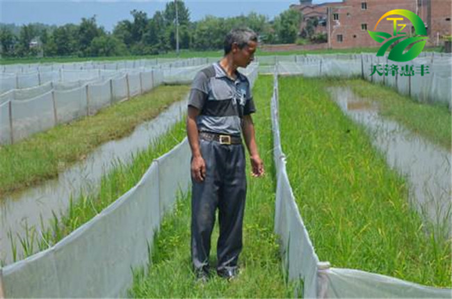 養(yǎng)殖青蛙一年能掙多少錢？