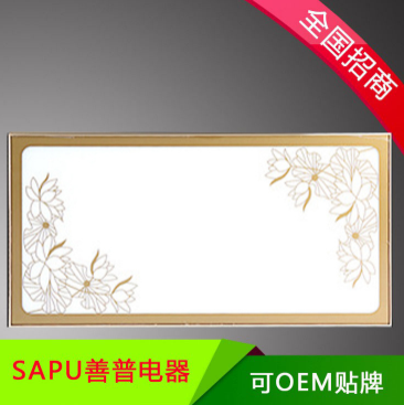 供應(yīng)LED平板燈 發(fā)光集成吊頂 集成吊頂供應(yīng)商 直銷集成吊頂 集成吊頂廠家