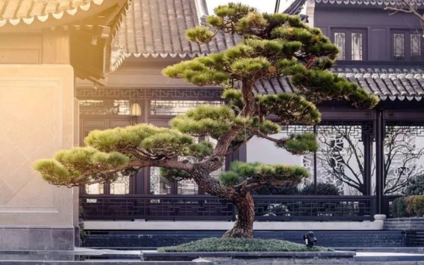 廣州別墅庭院設(shè)計,高端花園設(shè)計