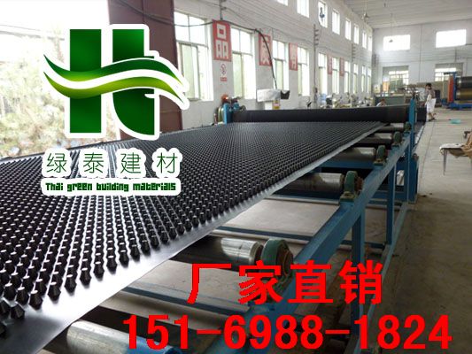 綠泰排水板廠家20高12高15高_(dá)車庫(kù)排水板價(jià)格