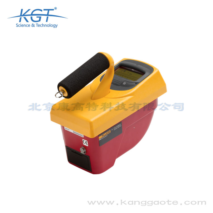 451P電離室劑量率儀 451P價(jià)格 451P電離室劑量?jī)x現(xiàn)貨 福祿克451P fluke451p