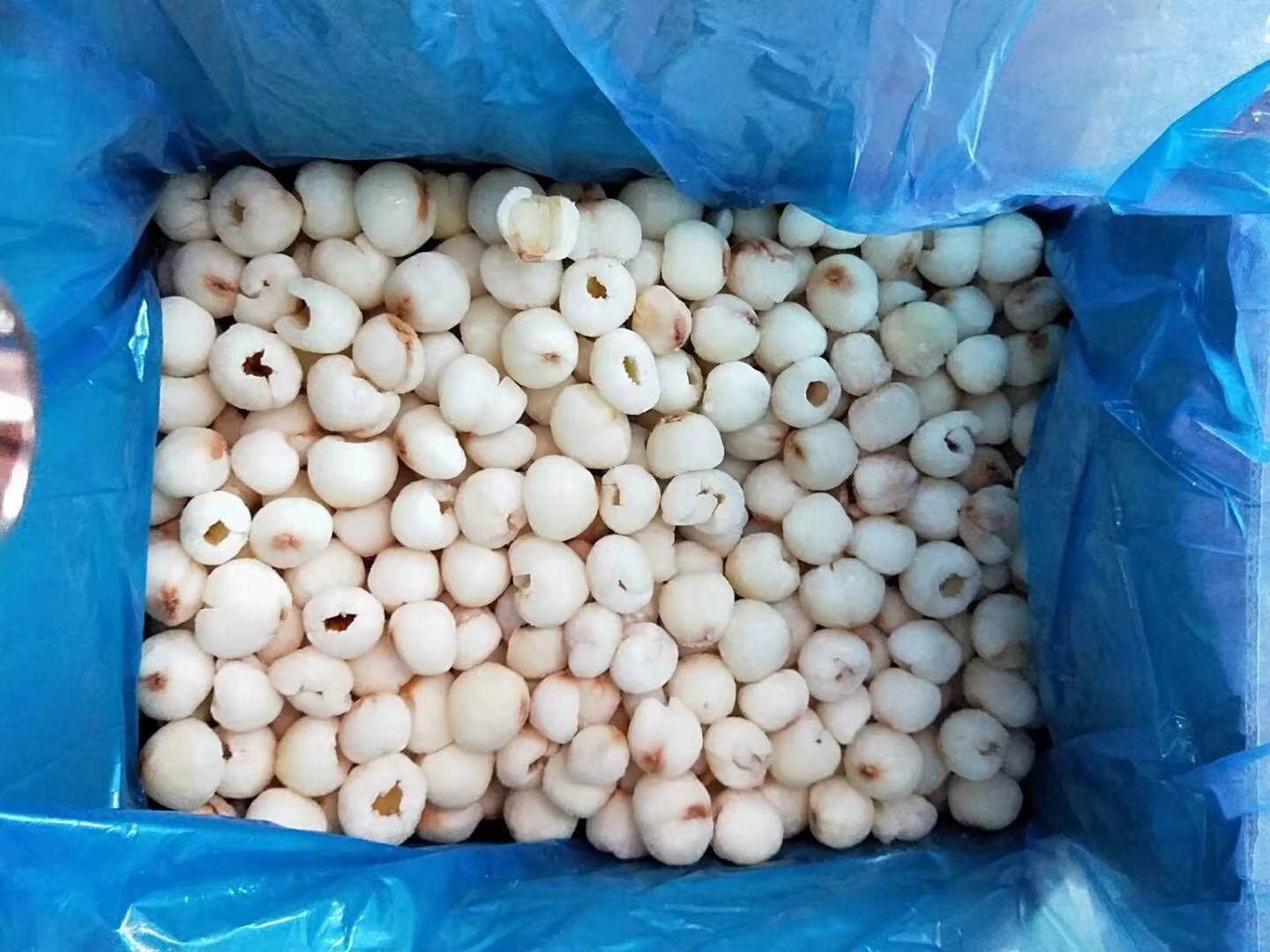 龍海市華進(jìn)食品有限公司  冷凍速凍熱帶水果  速凍冷凍果蔬  冷凍速凍楊梅