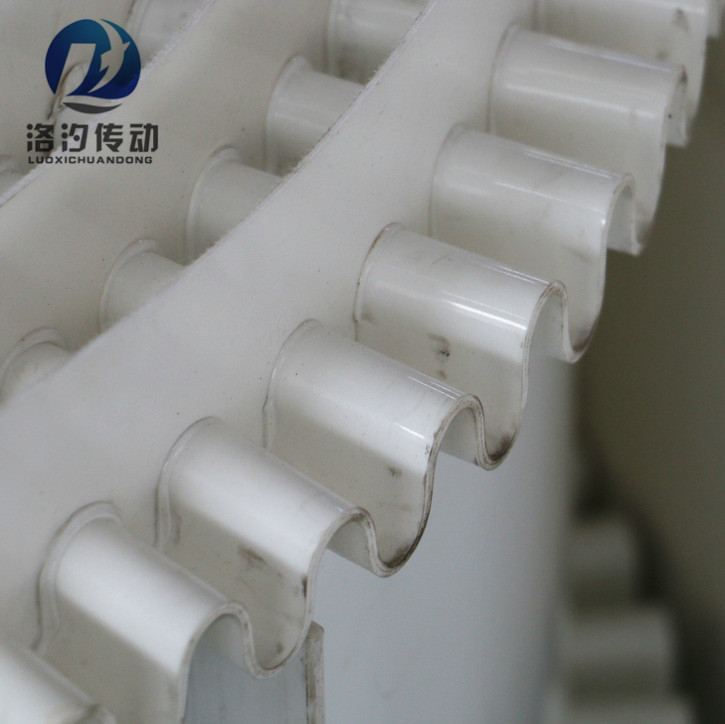 白色裙邊擋板輸送帶