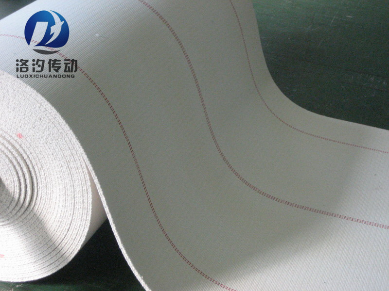 滌棉帆布輸送帶