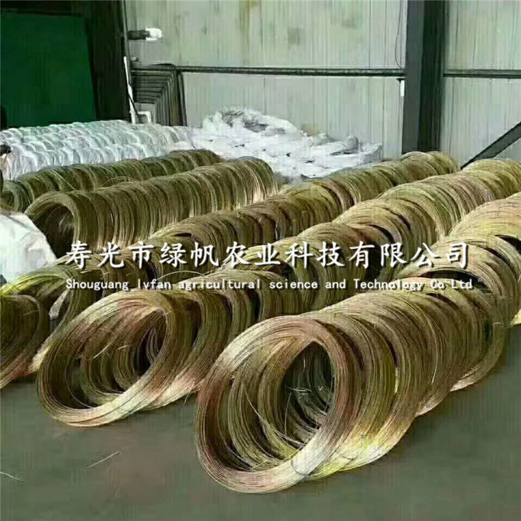 供應(yīng)鍍鋅鋼絲 鍍銅鋼絲 鐵絲  溫室大棚配件 鋼絲配件  扎絲等 鍍鋅鋼絲鐵絲