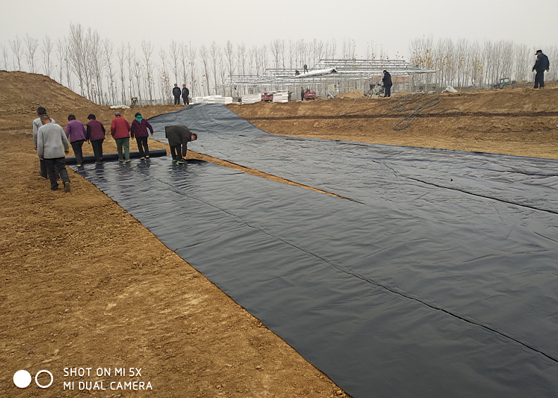 美標(biāo)全新料2.0mm光面土工膜  聚乙烯材料 延展性好 可定做尺寸