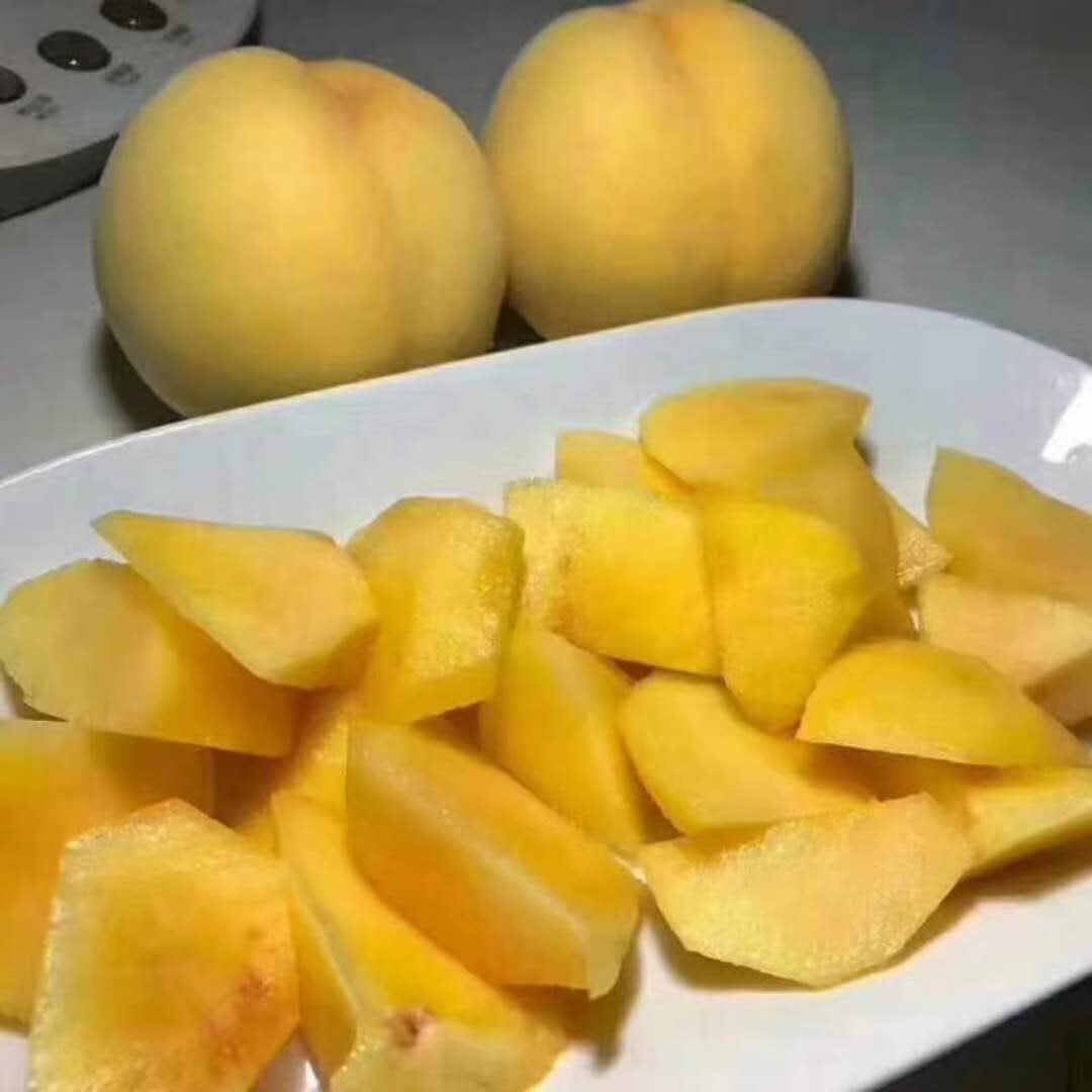 錦繡黃桃，黃桃樹(shù)苗，黃桃新品種，新品種黃桃苗，優(yōu)質(zhì)黃桃