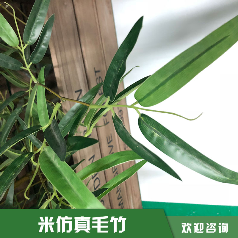 米仿真毛竹 米仿真毛竹的價(jià)格 仿真植物盆栽 仿真竹子竹葉 仿真植物 廠家直銷  品質(zhì)保障