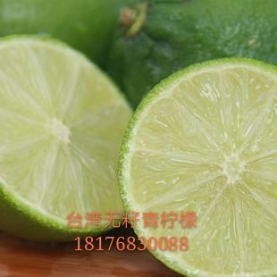 廣西青檸檬苗基地 臺灣無籽青檸檬 云南青檸檬生產(chǎn)基地 四川青檸檬苗供應(yīng)商經(jīng)銷商報價 批發(fā)價格