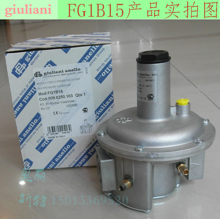 意大利朱麗安妮ST1B100穩(wěn)壓閥新STR100低壓閥1bar鍋爐天然氣穩(wěn)閥