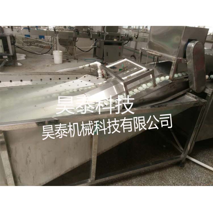 HTXD-P2 全自動(dòng)洗蛋機(jī)哪里賣