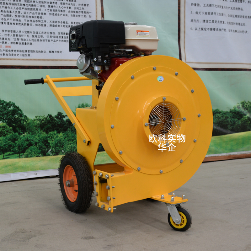 操場(chǎng)路面吹干機(jī)小型手推清理機(jī) 道路吹風(fēng)機(jī) 道路吹風(fēng)機(jī) 200型吹風(fēng)機(jī)