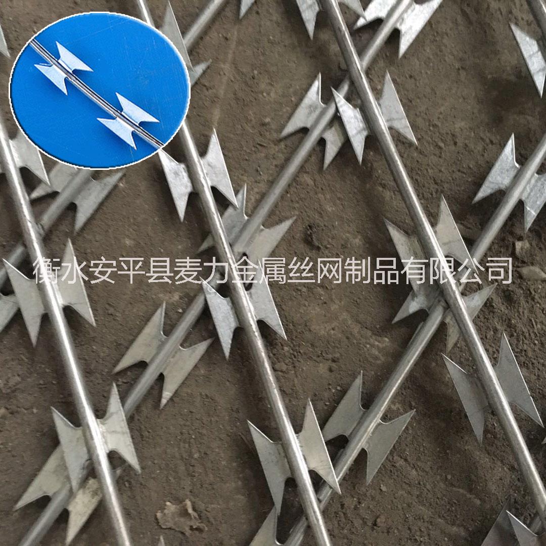 安平鍍鋅刺網(wǎng)圍欄@廠家