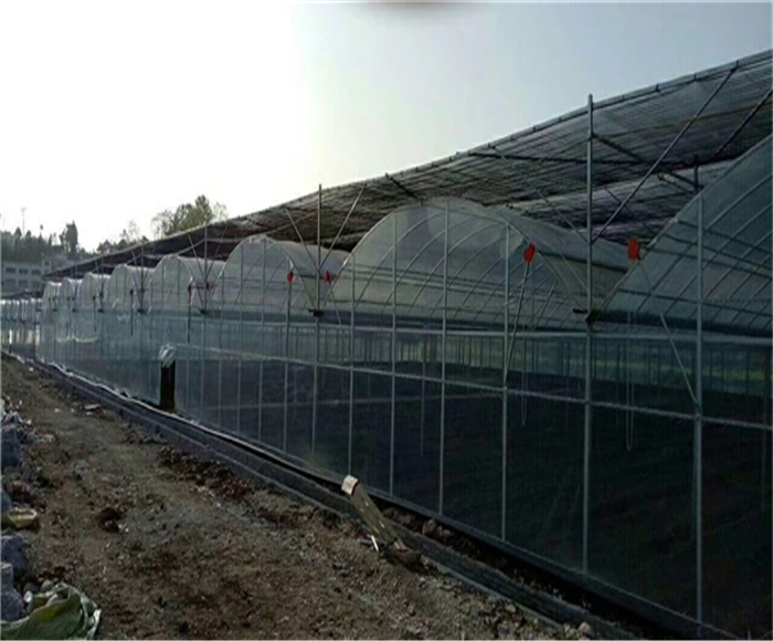 電動外遮陽連棟大棚  連體棚 連棟溫室 大棚配件