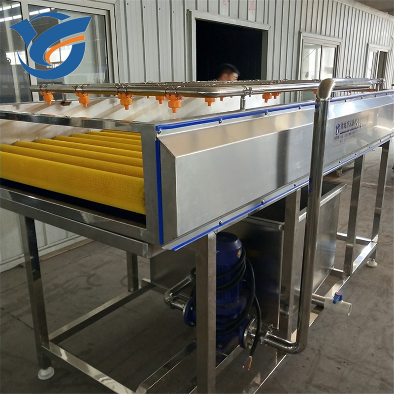 海蠣子清洗機(jī)  毛刷清洗去泥機(jī) 海鮮類毛輥清洗機(jī)價(jià)格 永聯(lián)*