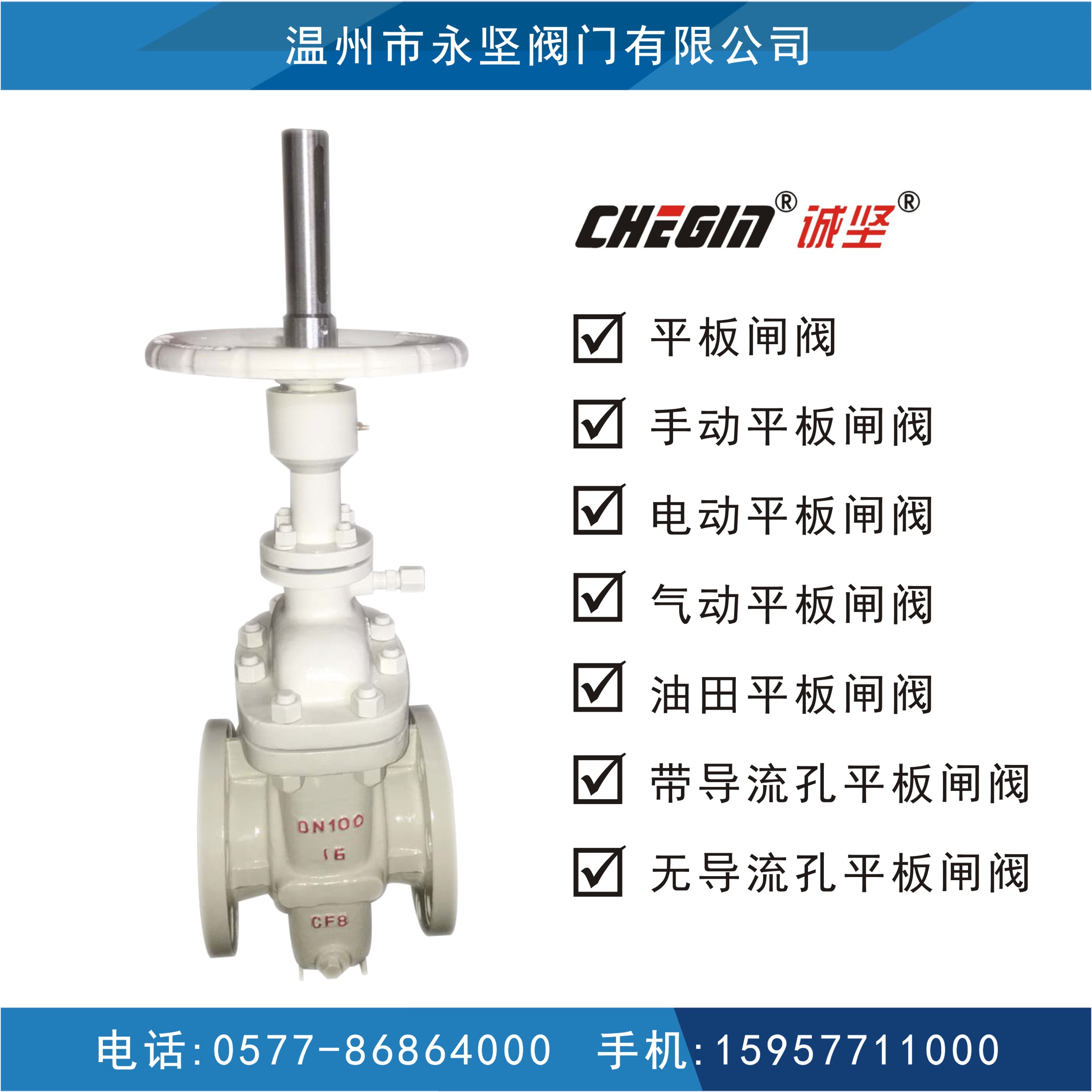 供應(yīng)溫州 誠(chéng)堅(jiān) 平板閘閥 Z43WF-16C 無(wú)導(dǎo)流孔平板閘閥 帶導(dǎo)流孔平板閘閥