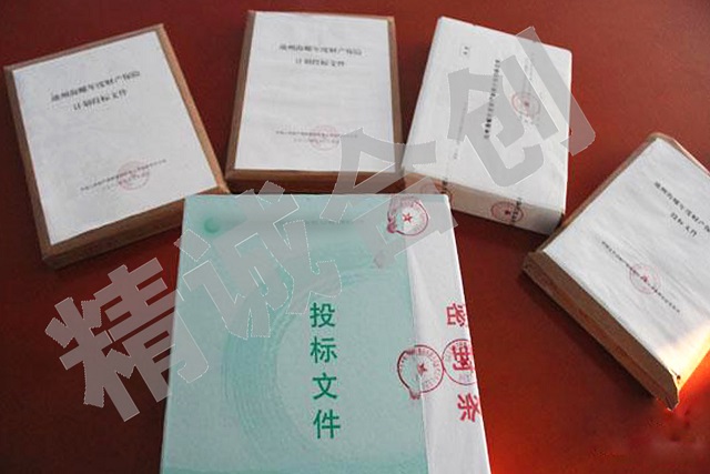 標(biāo)書制作 企業(yè)采購 標(biāo)書編寫