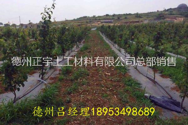 廣西90g防草布園藝地布廠家防草布價(jià)格，一畝地用多少防草布，一平方防草布多少錢？