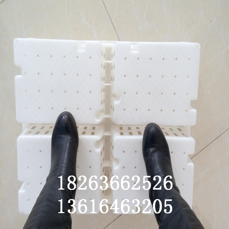 雞苗*運(yùn)輸籠 四格加固雛雞周轉(zhuǎn)筐 小雞運(yùn)輸筐廠家