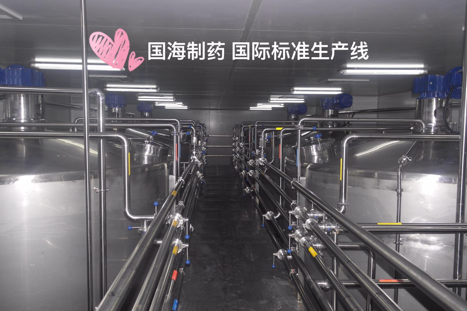 組合酵素代餐粉 國海組合酵素代餐粉批發(fā)代理OEM