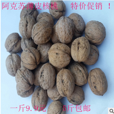 薄皮核桃 薄皮核桃報(bào)價(jià) 薄皮核桃直銷(xiāo) 薄皮核桃哪家好 薄皮核桃批發(fā) 薄皮核桃生產(chǎn)廠(chǎng)家 薄皮核桃供應(yīng)商