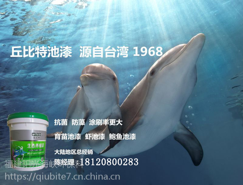 福州可靠的丘比特生態(tài)泳池漆供應(yīng)商-拋售游泳池*藍色漆（泳池*漆）
