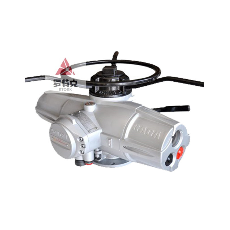 電動執(zhí)行器RJ15