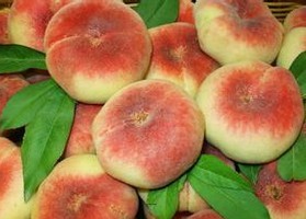 中油蟠7號桃，蟠桃品種，優(yōu)質(zhì)蟠桃，蟠桃新品種