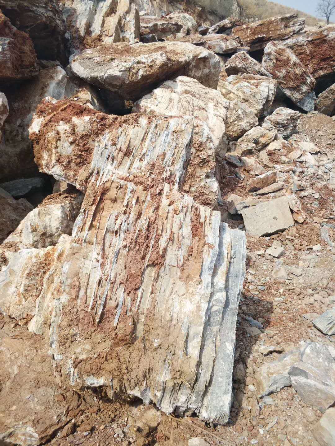 供應(yīng)石屹風(fēng)景石景觀石假山石園藝石