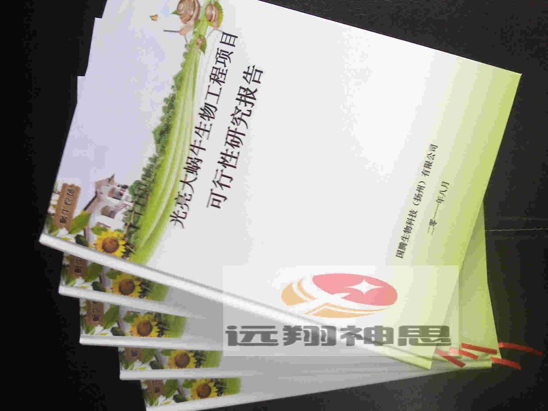 代寫創(chuàng)業(yè)計(jì)劃書(shū)_雅邦公司代寫立項(xiàng)報(bào)告精英團(tuán)隊(duì)代寫