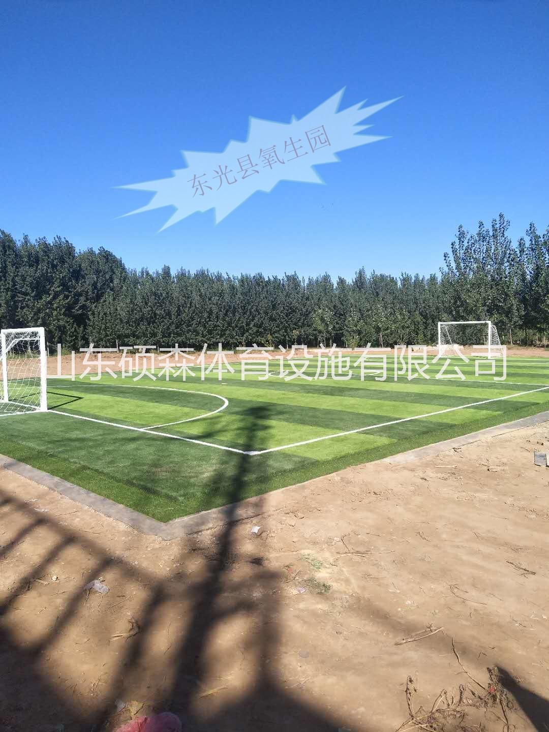 河北東光縣足球場草坪鋪設(shè)