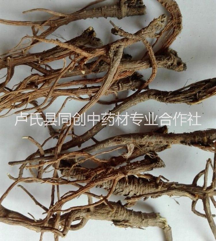 2019年柴胡種子價格多少錢一斤？產(chǎn)地銷售新產(chǎn)一級良種，貨真價實