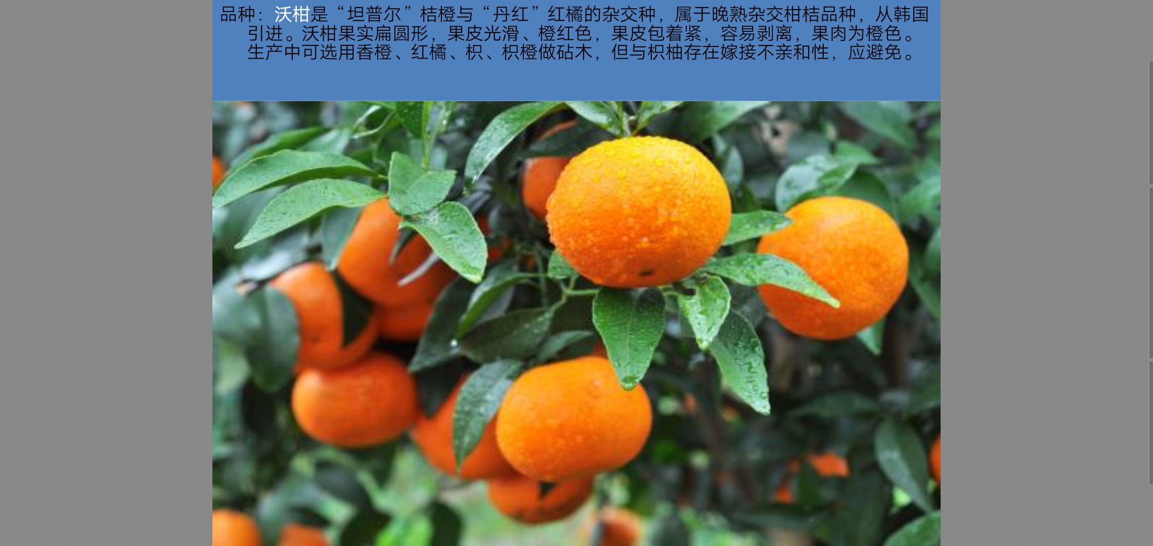 明日見