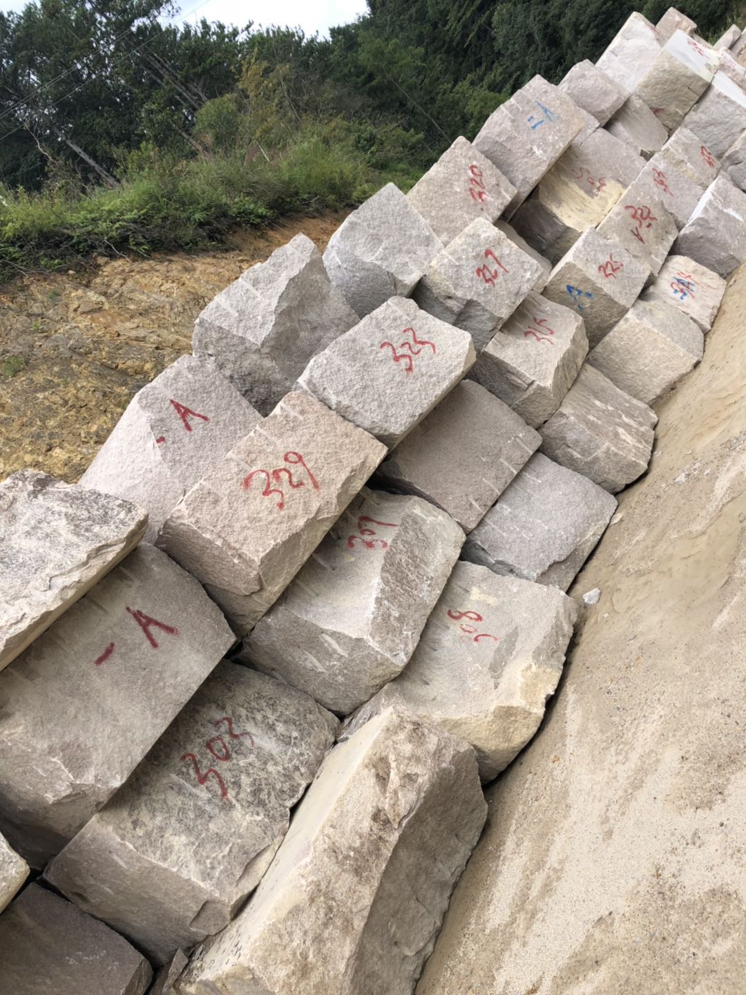 *香檳 *香檳報價 *香檳批發(fā) 壽寧*香檳