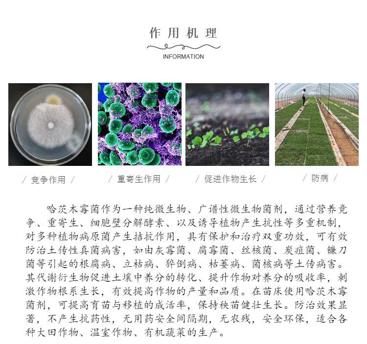 哈茨木霉菌廣譜性殺菌劑