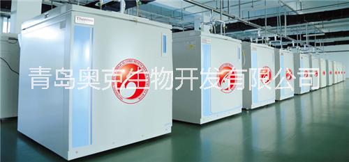 山東省臍帶干細胞  間充質干細胞  臍帶干細胞  干細胞儲存 安心