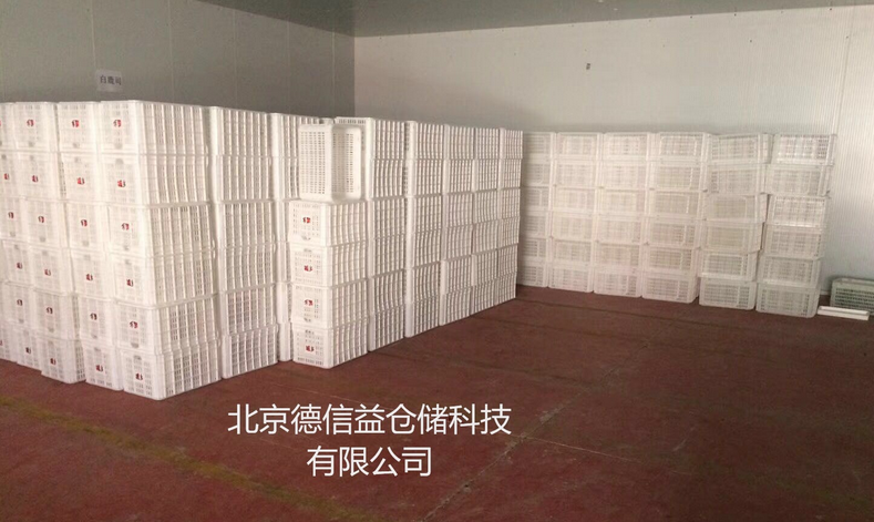 塑料周轉(zhuǎn)筐-山東優(yōu)質(zhì)塑料周轉(zhuǎn)筐供應(yīng)商-山東塑料周轉(zhuǎn)筐廠家直銷-山東塑料周轉(zhuǎn)筐供貨商-山東塑料周轉(zhuǎn)筐廠家報(bào)價(jià)