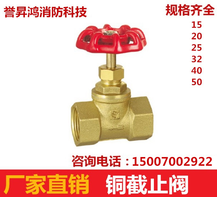 南昌廠家利水浮球閥 全自動水位控制閥 水箱水塔控制器進水閥開關(guān) 浮球閥65黃銅