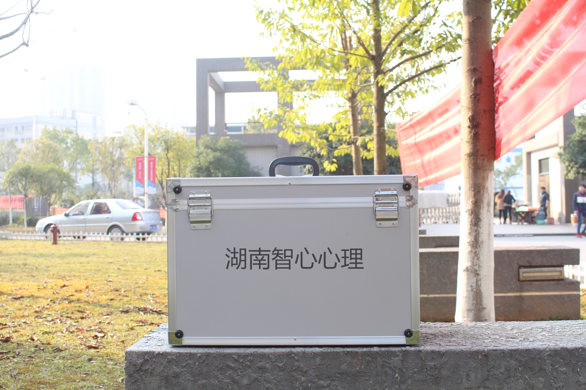 敦煌藝術(shù)輔導(dǎo)箱標準型生產(chǎn)廠家