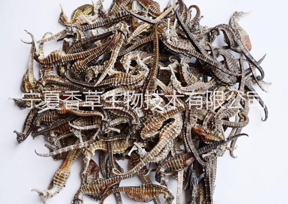 海龍?zhí)崛∥?海龍粉廠家批發(fā) 海龍凍干粉價格 海龍多肽 小分子肽粉 海馬提取物 海馬凍干粉 海馬肽粉 生物活性肽價格