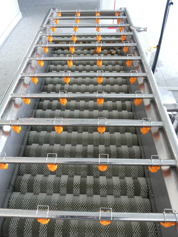 攬?jiān)鹿?yīng)MQT扇貝清洗機(jī) 果蔬清洗機(jī) 毛輥清洗機(jī)