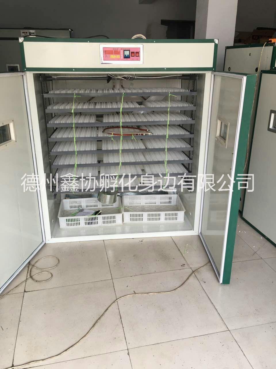 鴿子孵化機(jī)質(zhì)優(yōu)價(jià)廉方便操作易上手出苗率高