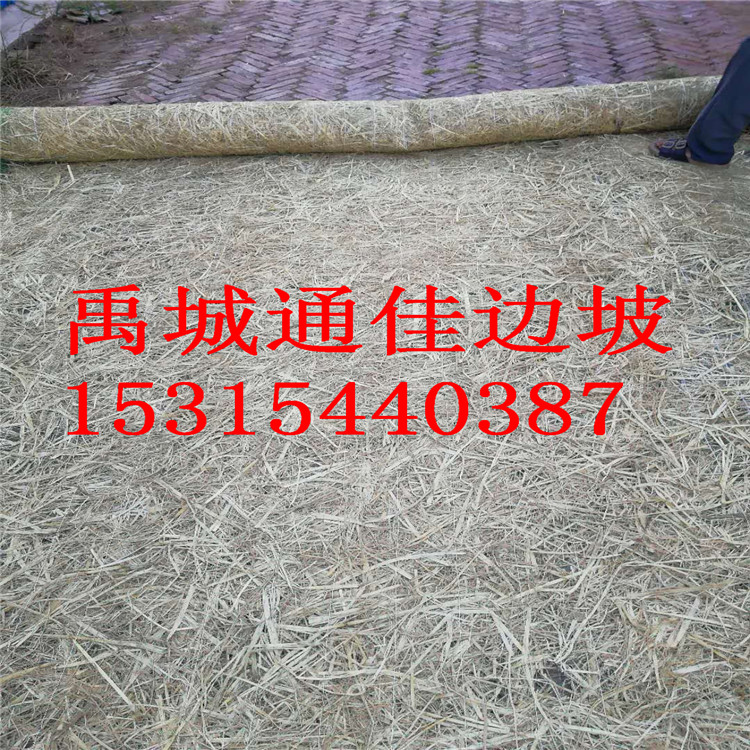 廠家批發(fā)福建泉州生態(tài)綠色植物纖維毯  植被毯 植草毯 椰絲綠化毯
