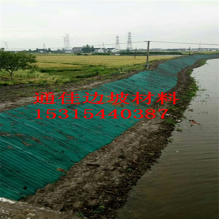 廠(chǎng)家批發(fā)廣東佛山抗沖生態(tài)毯 加筋防沖毯  生態(tài)綠化毯